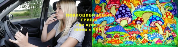мяу мяу мука Абинск