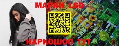 шишки Абинск
