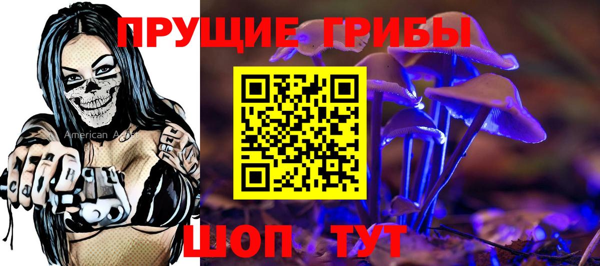 Алатырь  Галлюциногенные грибы Cubensis  Вход с VPN  Псилоцибиновые грибы Cubensis 