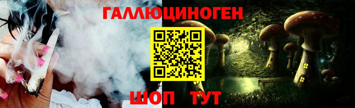 Псилоцибиновые грибы мицелий Алатырь